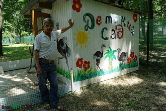 Страусы в Ростове