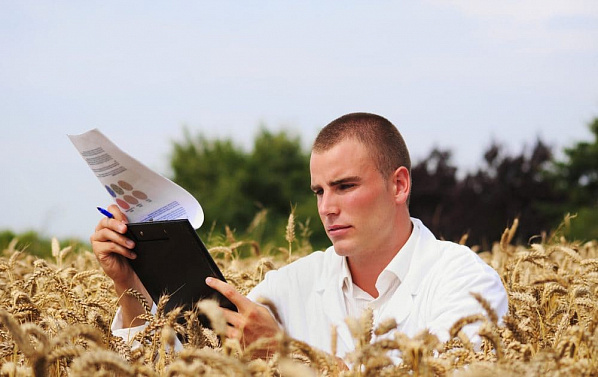 В Ростовской области не хватает агрономов, технологов и ветврачей