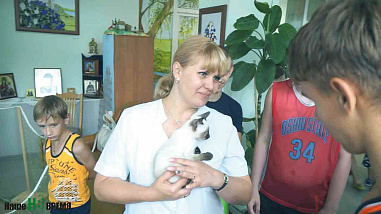 Как кошки-крошки  с друзьями встретились