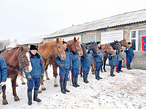 В Год лошади в конном взводе не будет скучно!