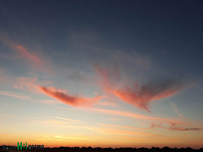 Радость для души