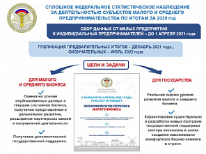 Микроперепись на селе: сверху видно все