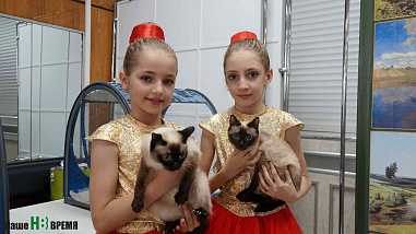 Сильный «Аленький цветочек»