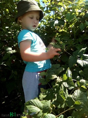 Фотоконкурс «Растем вместе»