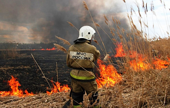 На Дону сохраняется режим чрезвычайной пожароопасности