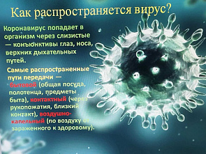 На Дону впервые за несколько месяцев отмечен летальный исход ковида. Сезон гриппа и ОРВИ благополучно заканчивается