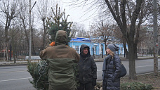 Собственница земельного участка на Зелёной в Ростове высадила 14 новых деревьев на проспекте Сельмаш