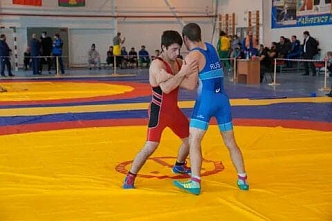 Донские борцы отлично выступили на чемпионате ЮФО