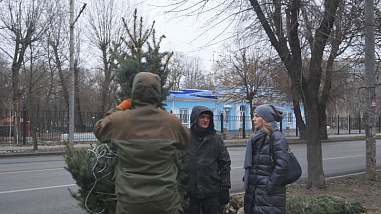 Собственница земельного участка на Зелёной в Ростове высадила 14 новых деревьев на проспекте Сельмаш