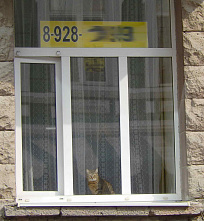 Погуляем, поснимаем – 9