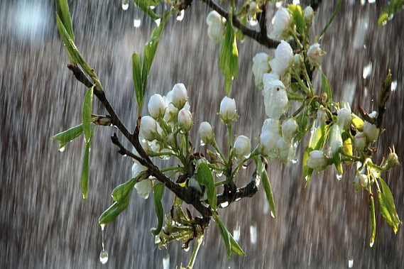 Источник фото: STIHI.RU..