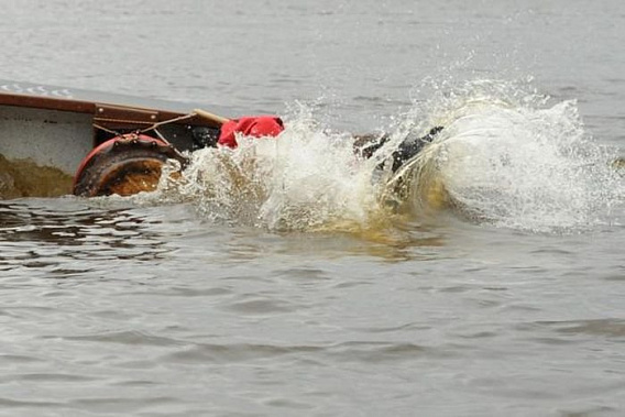 Убийство на лодочной станции: преступника осудили