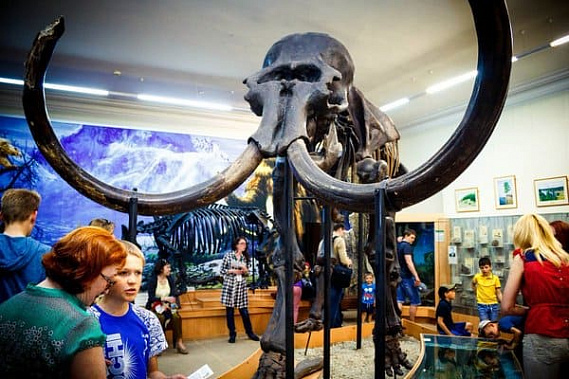 В Ростовской области с 20 июля заработают музеи, клубы и другие учреждения культуры