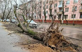 Ветреная погода в Ростове продлится 3 дня
