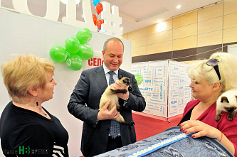 «Южная медиасфера»