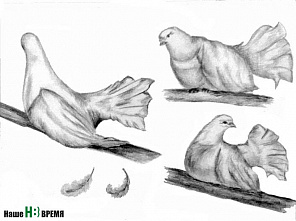 «Смотри со мной»