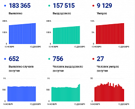Коронавирус в Ростовской области: статистика на 12 декабря