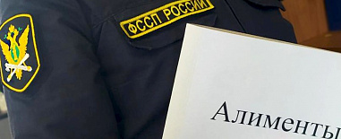 В донском главке ФССП России приём граждан вновь проведут по вопросам взыскания алиментов