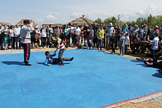 Шермиции в Кумженской роще