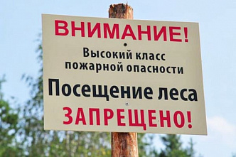В Ростовской области продлили запрет на пребывание в лесах