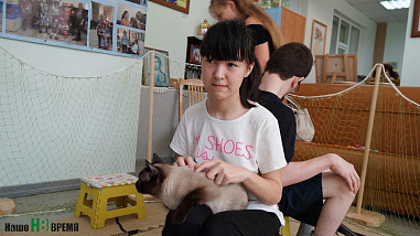 Как кошки-крошки  с друзьями встретились