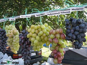 Здравствуйте, гости!