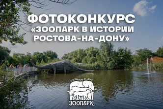 Стартовал фотоконкурс «Зоопарк в истории Ростова-на-Дону»