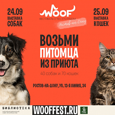 В Ростове пройдет фестиваль животных из приютов 