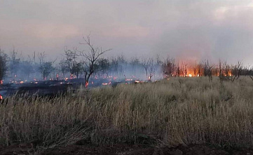 Городам и районам Ростовской области угрожают природные пожары