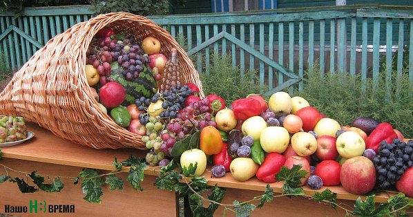 «Донская лоза» ждет гостей