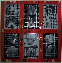 Собачья жизнь – это…