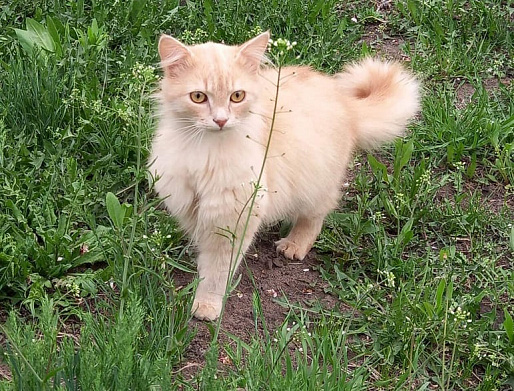 Оксана ГАРКУШИНА