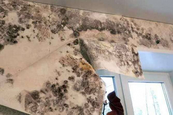 Бывшего главу Целинского района не коснется наказание за плохое жилье для сирот