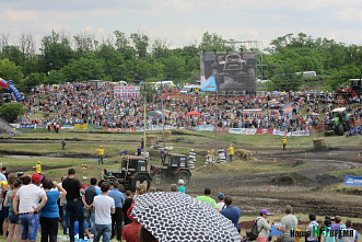 Бизонотерапия на Дону