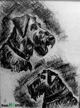 «Смотри со мной»