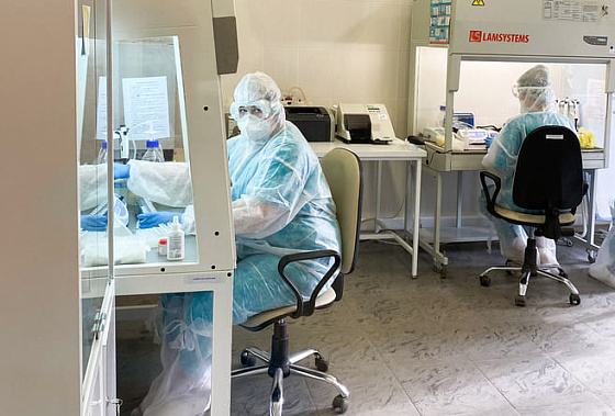 Суточный прирост заболевших COVID-19 на Дону снизился до 312 человек