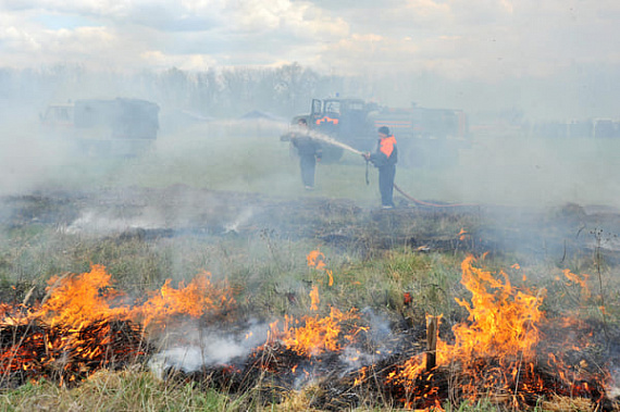 В первых числах сентября чрезвычайная пожароопасность сохранится в семи районах Дона