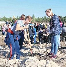 Новые деревья «Литературного леса»