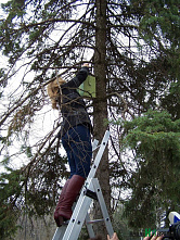 Весенний праздник для людей и птиц