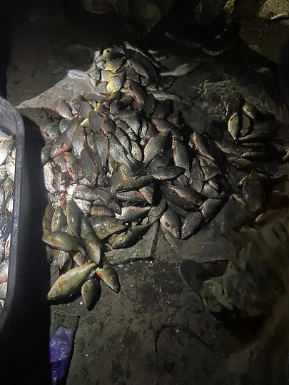 В акватории балки Большая Садковка Веселовского водохранилища задержаны браконьеры
