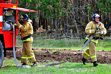 В области готовятся к лесным пожарам