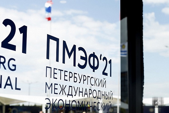 На экономическом форуме в Петербурге Ростовская область заключила первые инвестиционные соглашения