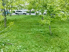 ЖКХ: когда ситуации по проблемным адресам берутся на контроль...