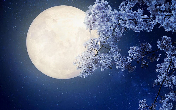 Цветочная Луна появится в небе над Ростовом в дни полнолуния