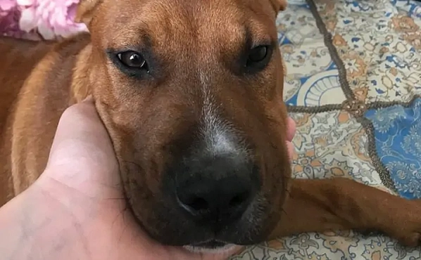 Фото из Telegram-канала подростка