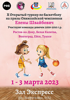 В донской столице стартовал турнир на призы Елены Швайбович