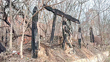 Ползущие по склону