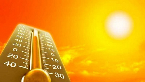 В Ростовской области прогнозируют жару до +40 градусов