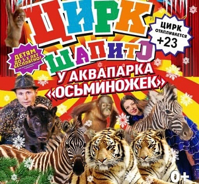 В Ростове выявили цирк-шапито, работающий без лицензии