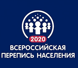 На Дону перепись населения уже прошли свыше 3 миллионов человек